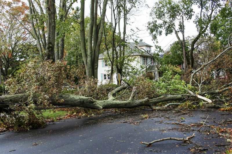 Storm Damage Restoration Service