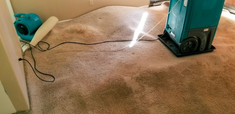 Wet Carpet Restoration detail