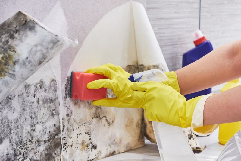 Mold Prevention Measures