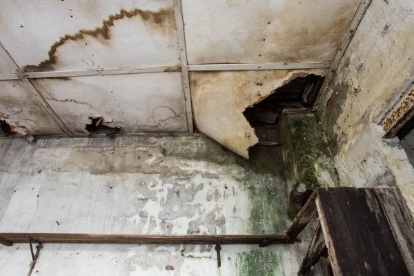 Cost of Water Damage Service in Charlotte