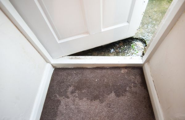 Cost of Wet Carpet Restoration in Charlotte