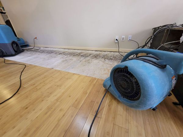Cost of Water Damage Mitigation in Charlotte