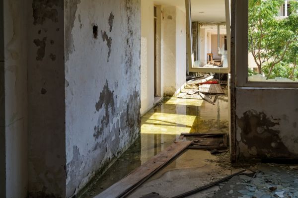 Cost of Water Removal Service in Charlotte