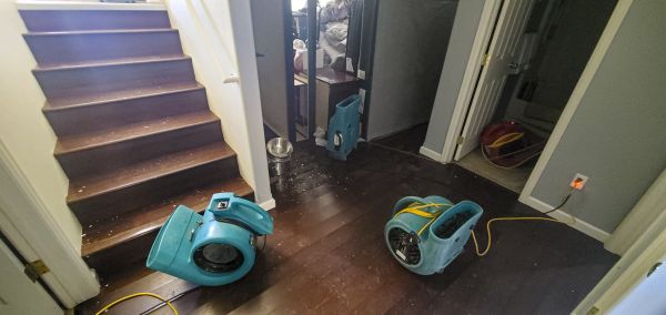 Cost of Water Damage Remediation in Charlotte