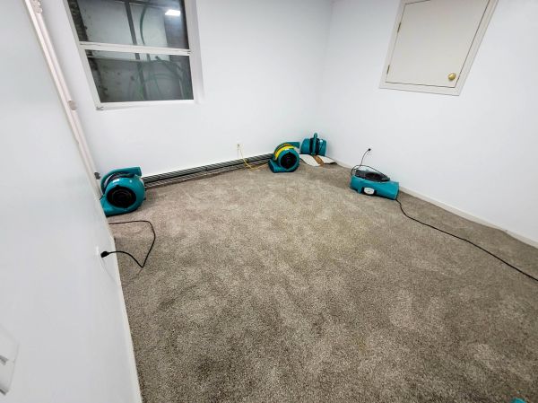 Cost of Flood Restoration Service in Charlotte