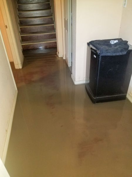 Cost of Emergency Water Removal in Charlotte