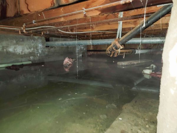 Cost of Crawl Space Drying in Charlotte