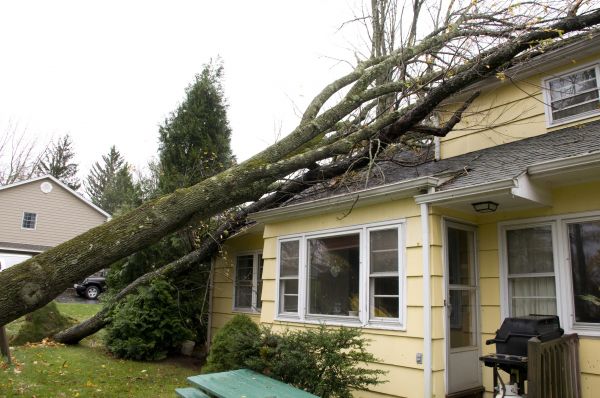 Cost of Hurricane Damage Repair in Charlotte