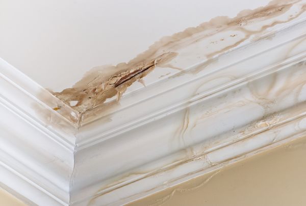 Cost of Water Damage Recovery in Charlotte